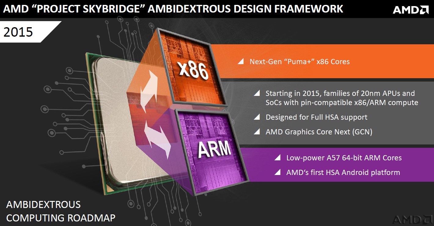 amd_skybridge.jpg