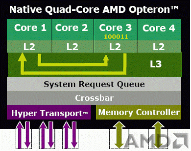 AMD HT