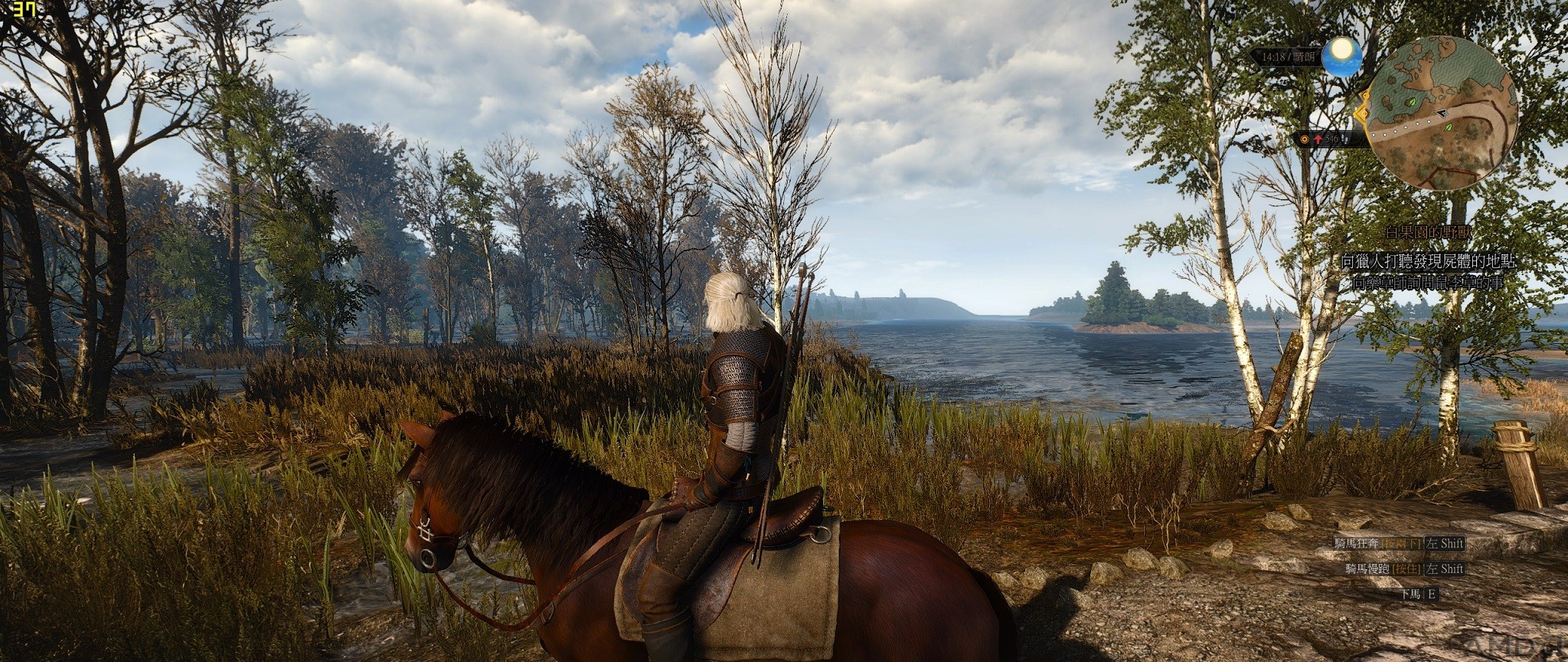 witcher3 2015-11-05 20-30-29-88.jpg