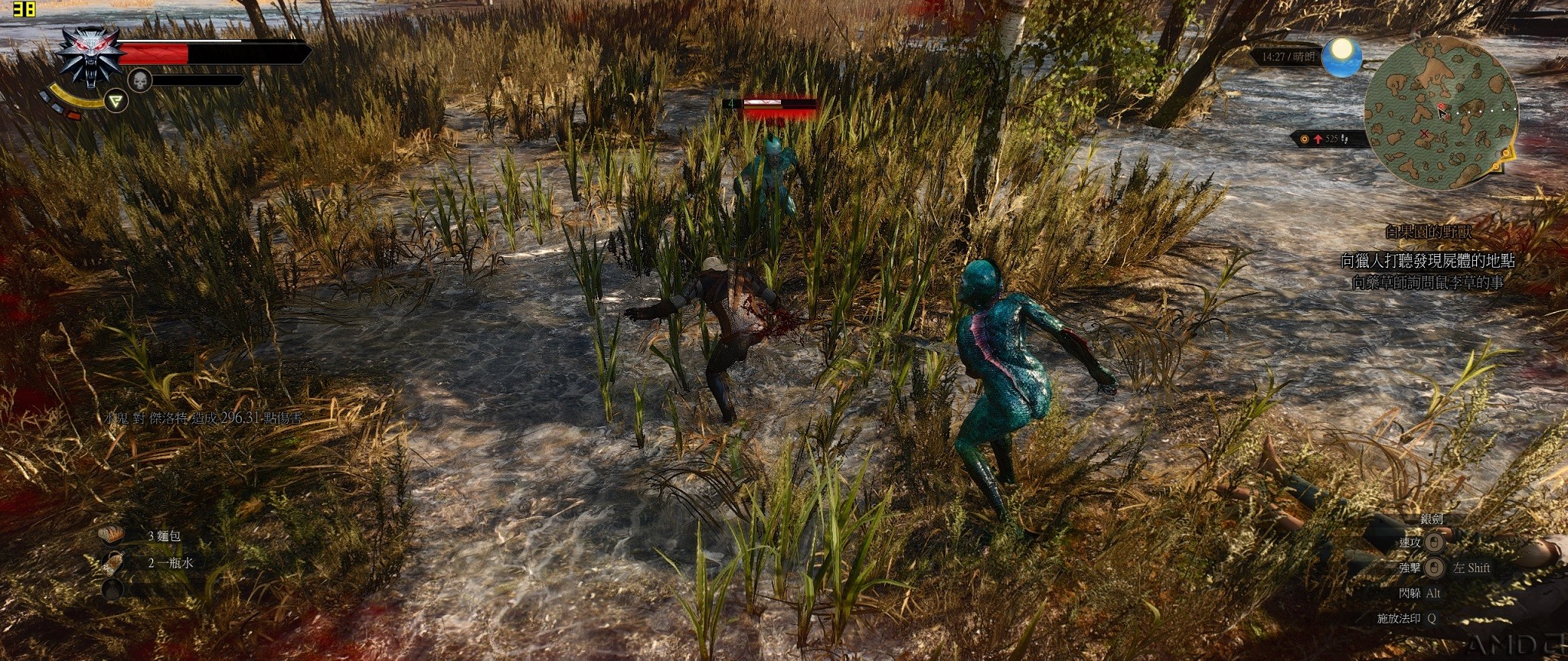 witcher3 2015-11-05 20-31-04-91.jpg