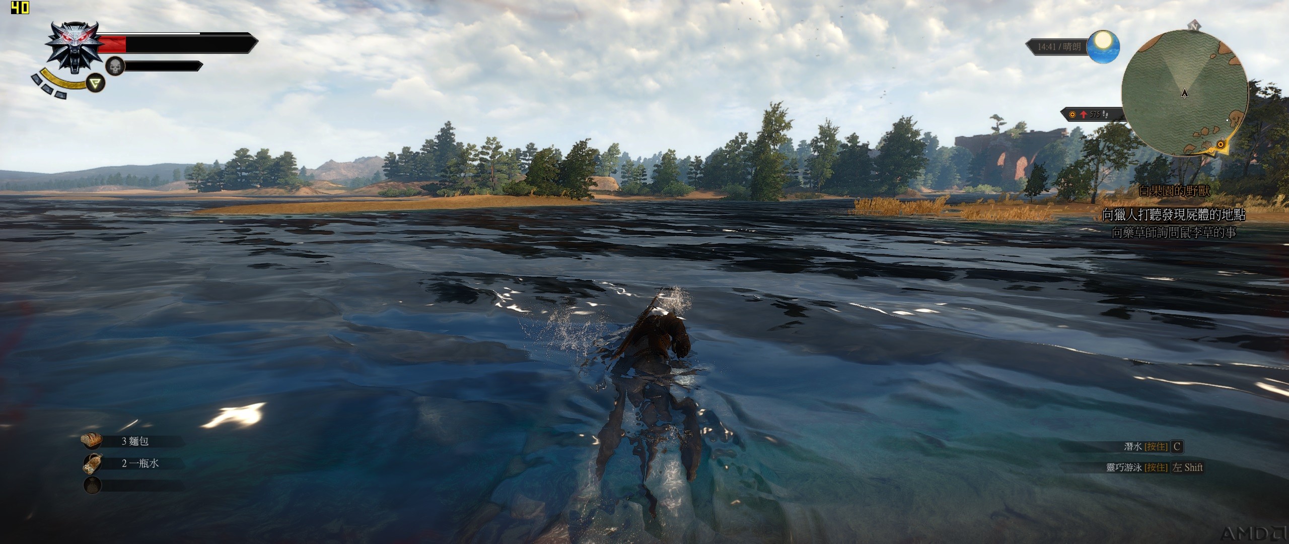 witcher3 2015-11-05 20-32-02-10.jpg