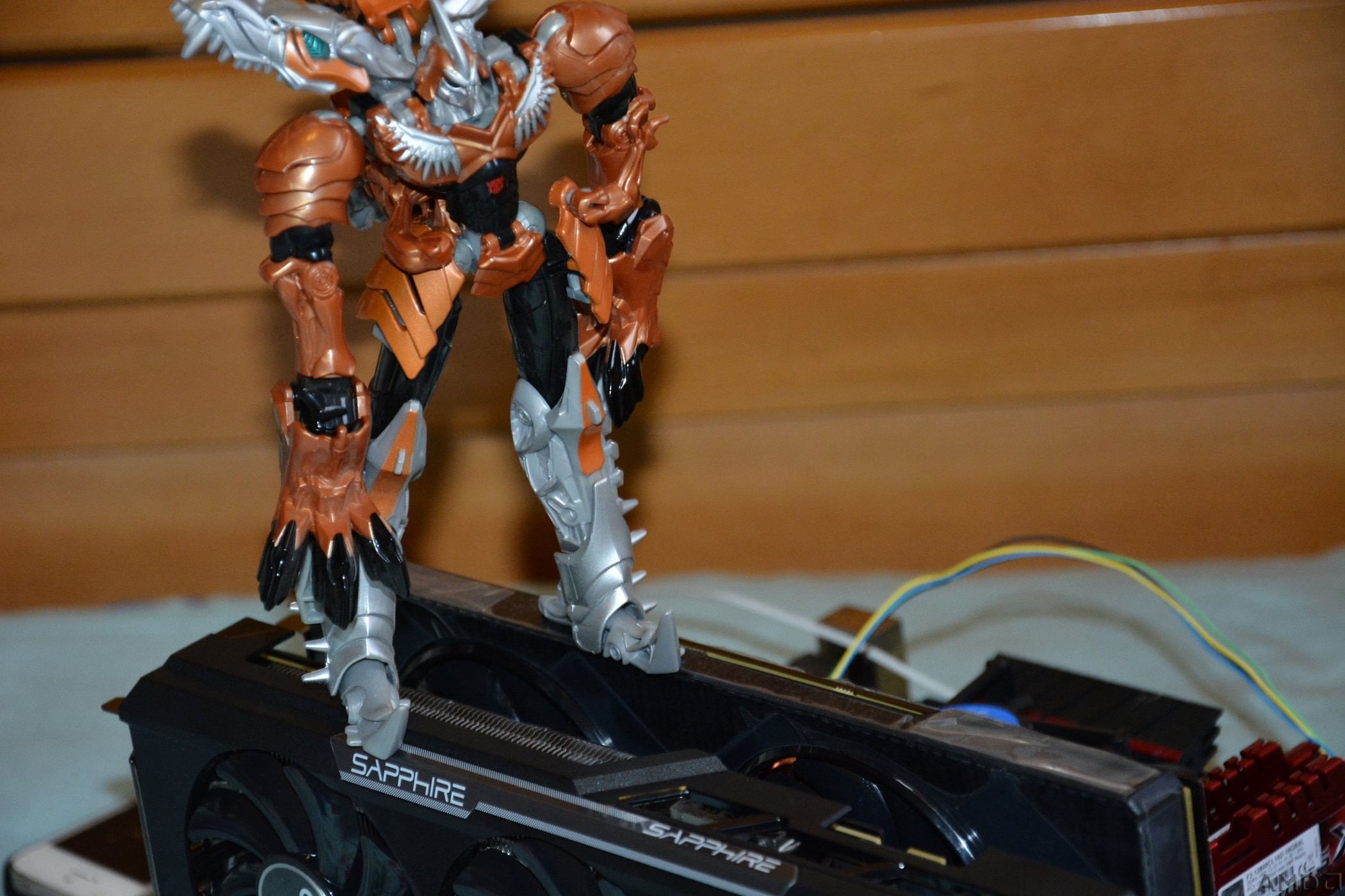 DSC_0612.jpg