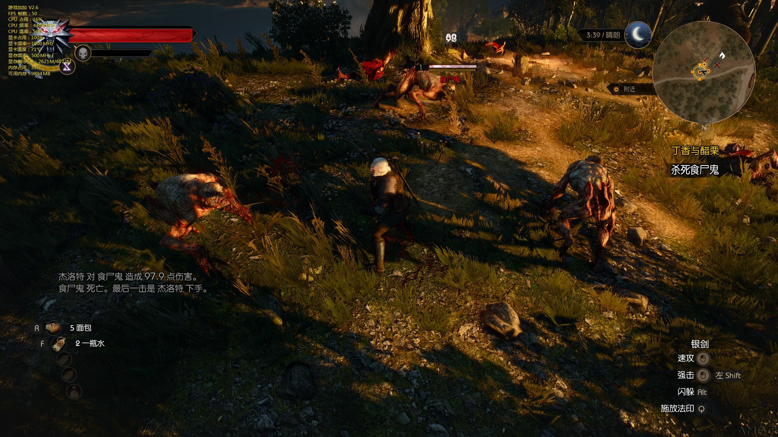 witcher3-18-01-49-07.jpg