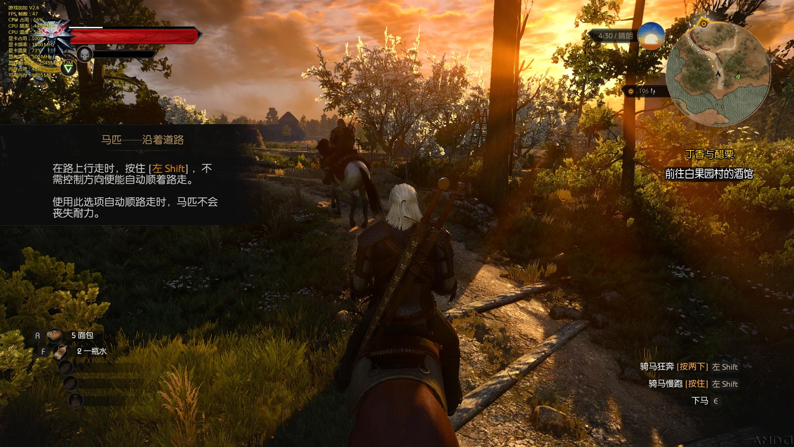 witcher3-18-01-52-38.jpg
