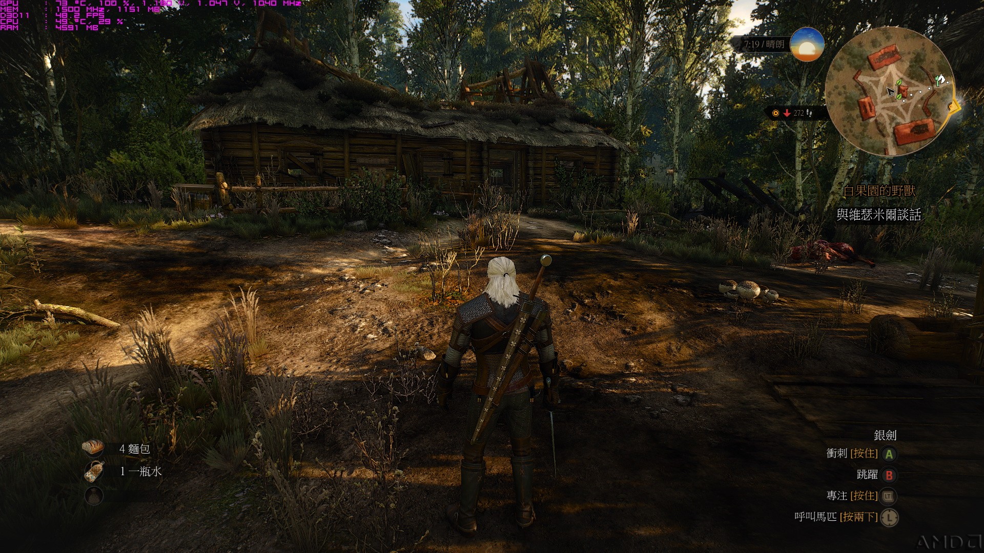 witcher3_2015_11_15_15_43_19_294.jpg