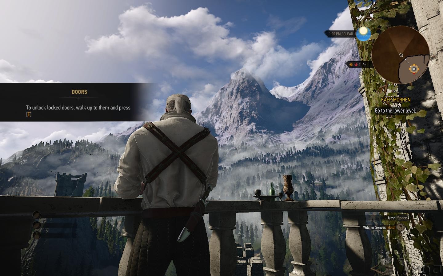 witcher3 2015-12-18 13-44-15-83.jpg