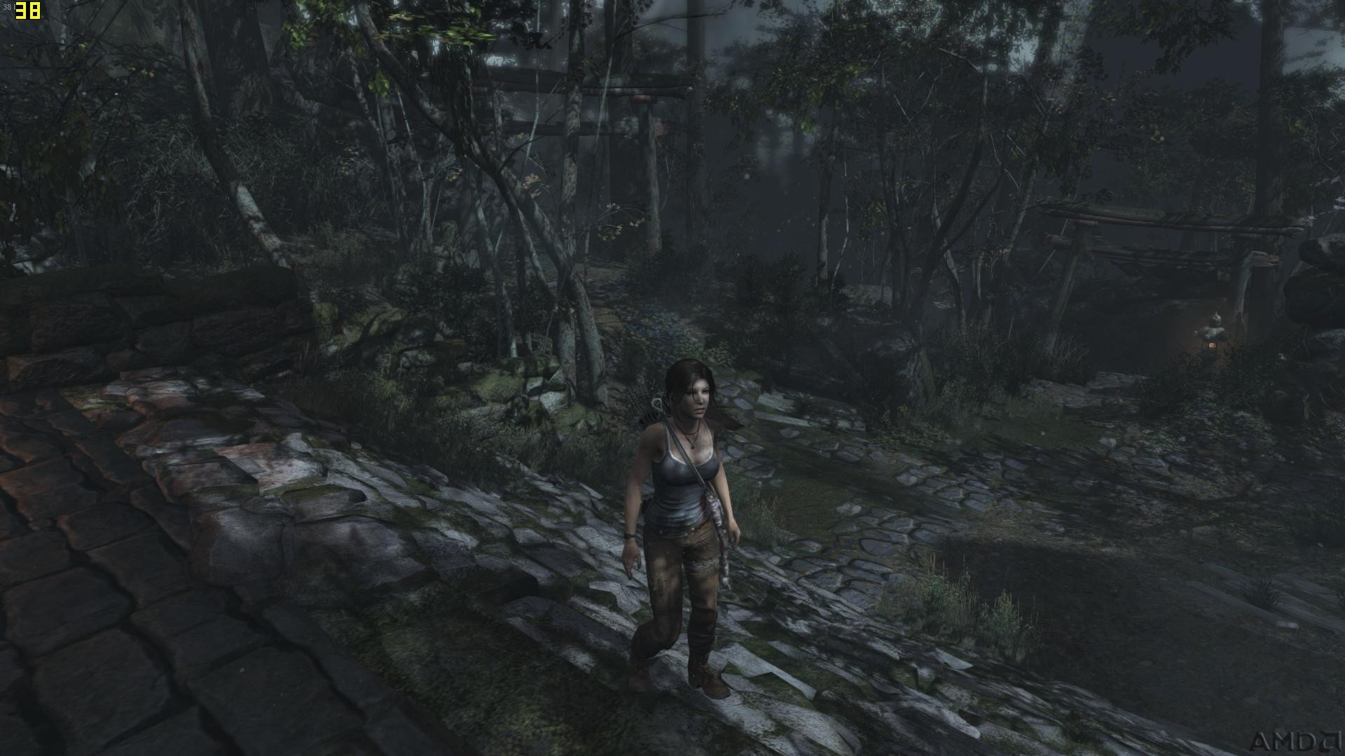 TombRaider 2015-12-28 17-52-45-59.jpg