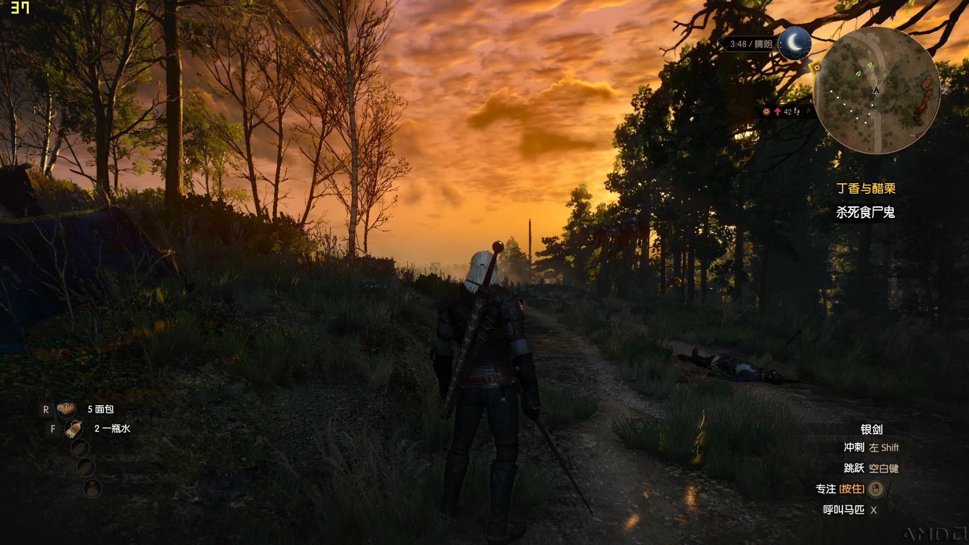 witcher3 2015-12-28 22-37-46-79.jpg