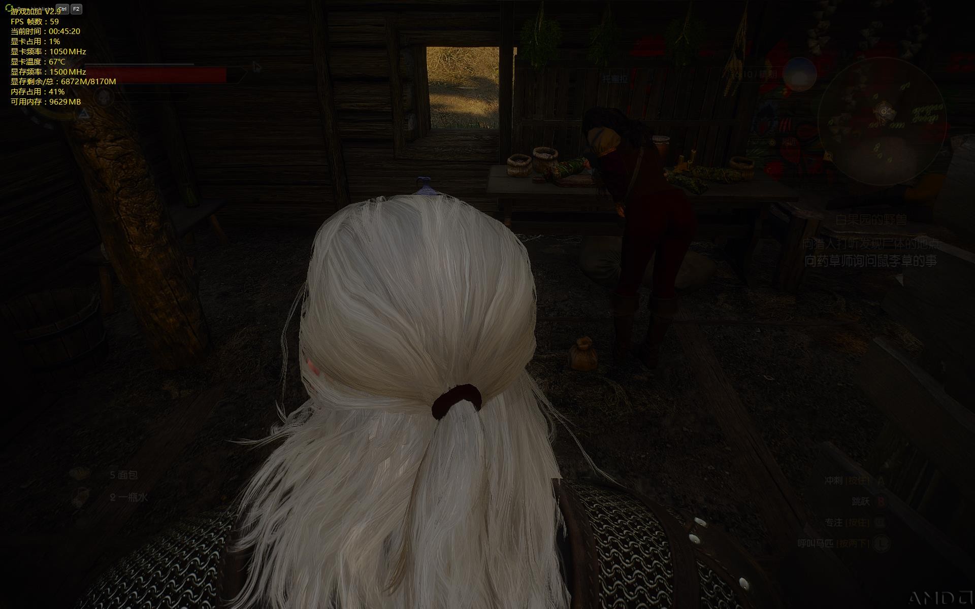 witcher3-28-00-45-21.jpg