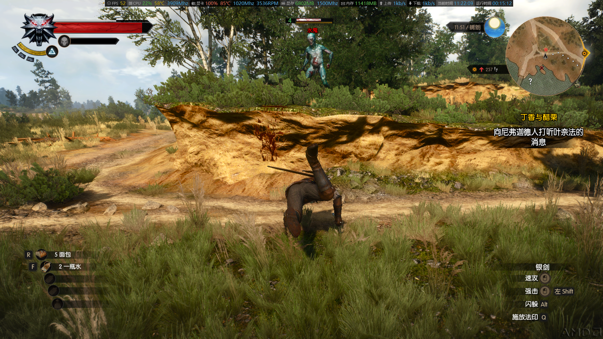 witcher3-28-11-22-10.png