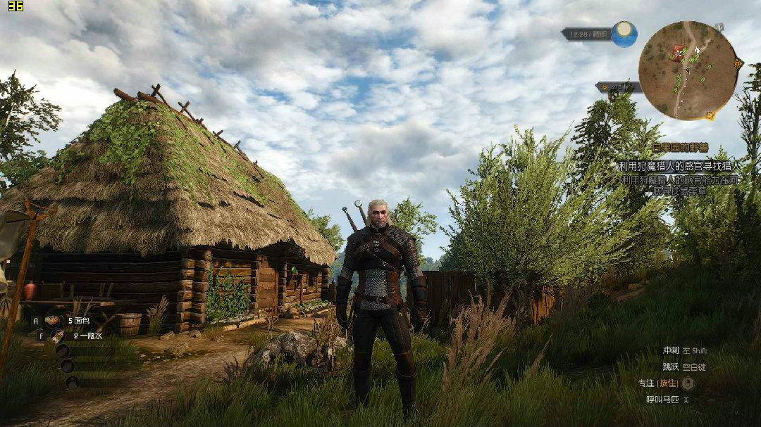 witcher3 2016-06-20 12-47-09-22.jpg