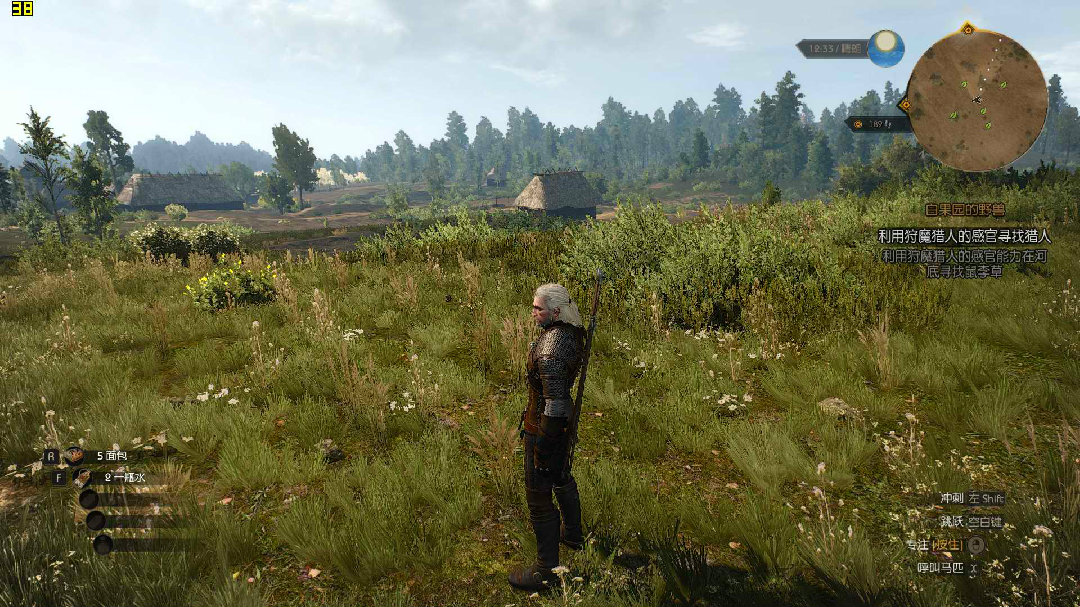 witcher3 2016-06-20 12-47-27-02.jpg