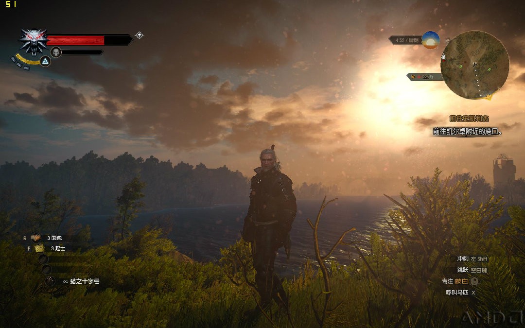 witcher3 2016-06-19 22-39-13-87.jpg