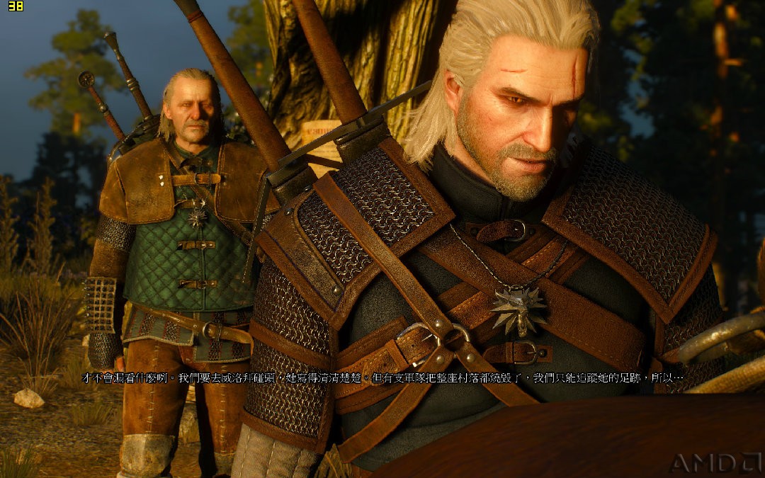 witcher3 2016-06-25 23-26-57-49.jpg