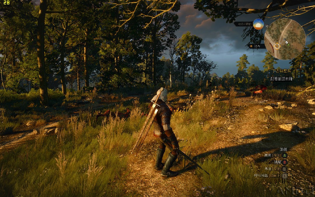 witcher3 2016-06-25 23-38-31-33.jpg